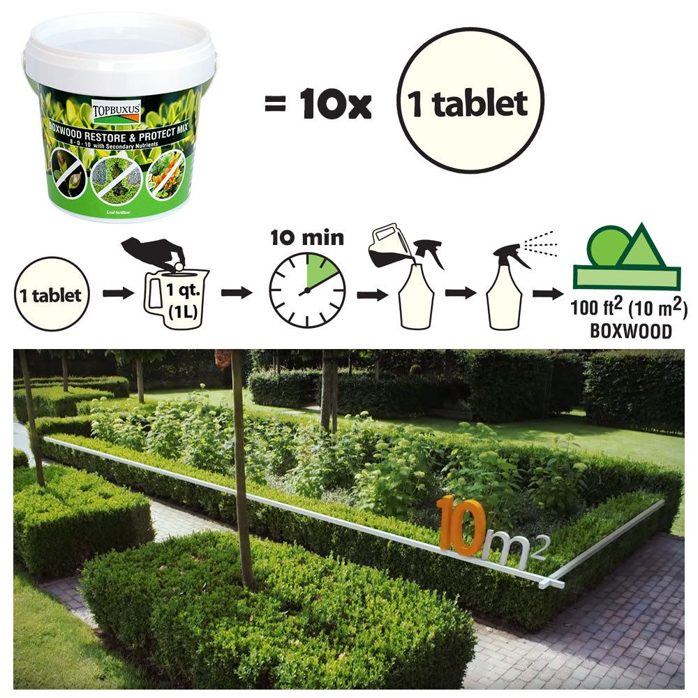 boxwood plant fertilizer Boxwood Restore & Protect Mix