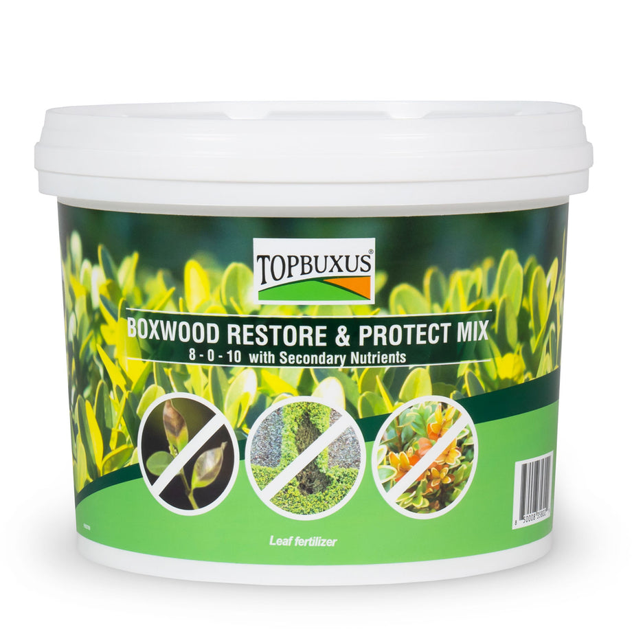 Boxwood Restore & Protect Mix