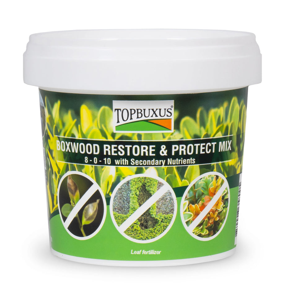 boxwood plant fertilizer Boxwood Restore & Protect Mix